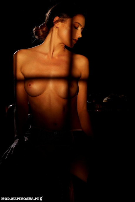 Винтажные товарищи по играм Плейбоя картинка 6